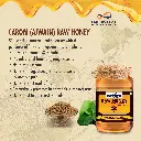 Carom - 2.webp