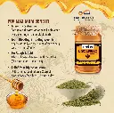 FENNEL - 3.webp