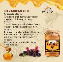 JAVA PLUM 3.webp
